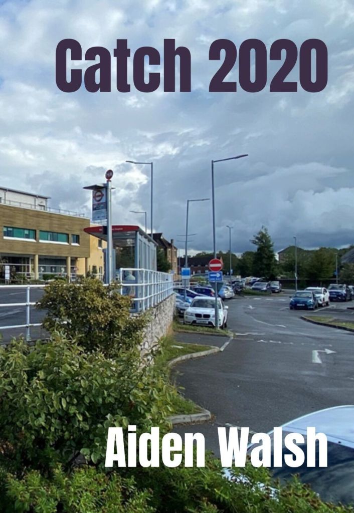 Catch 2020 – The Covid Deliria of Brian Jackson, by Aiden Walsh—Book Review
