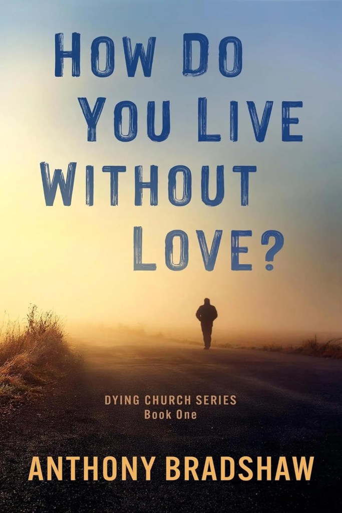 How Do You Live Without Love? | Book Guide