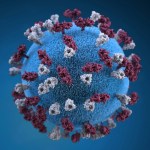 Why Is Measles Making a Comeback in 2026?